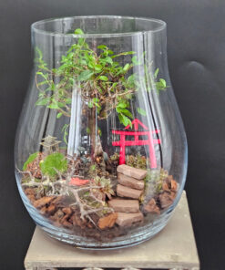 Ulme Vase 3