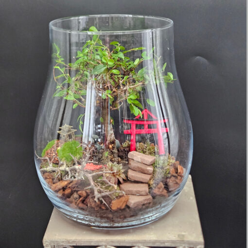 Ulme Vase 3