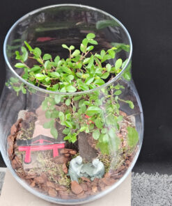 Ulme Vase 4