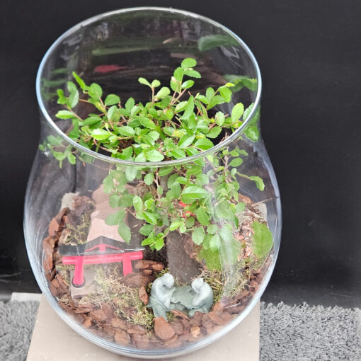 Ulme Vase 4