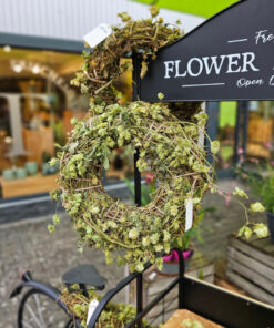 Hopfen trocken 2